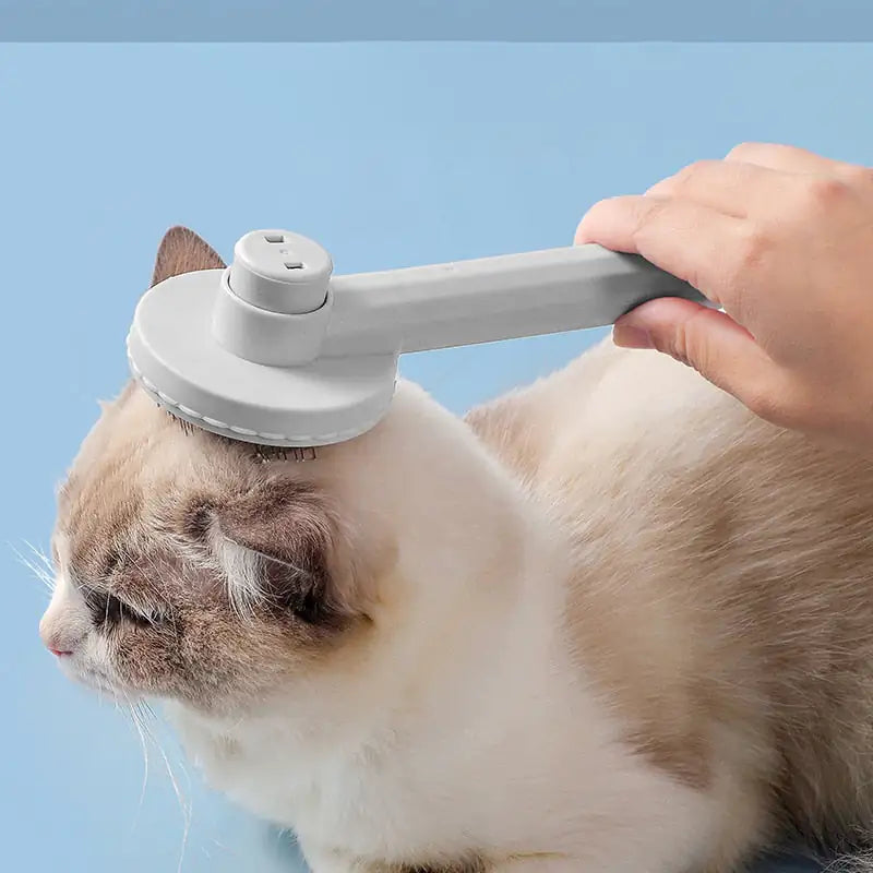 Cat Hair Brush Grooming Hair Tool