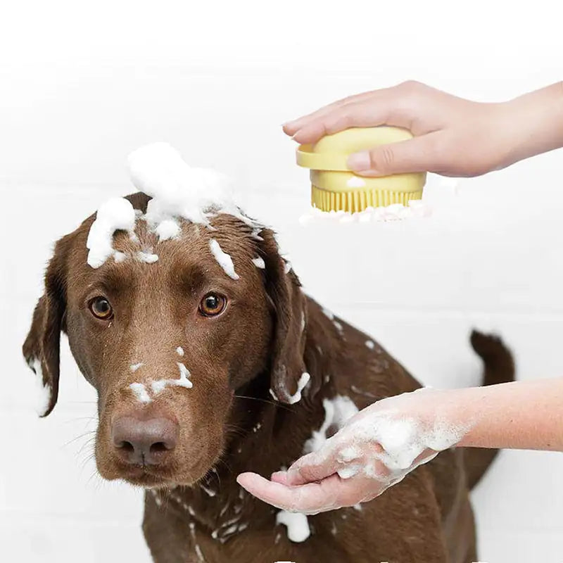 Dog Bath Brush with Soap Dispenser