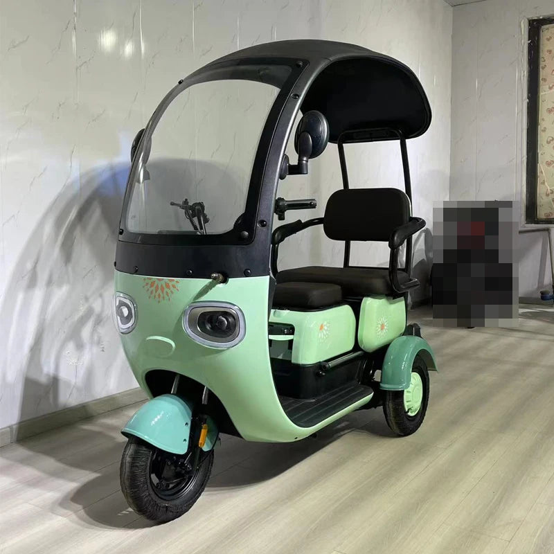 Electric Three Wheel Bike Trike 650W