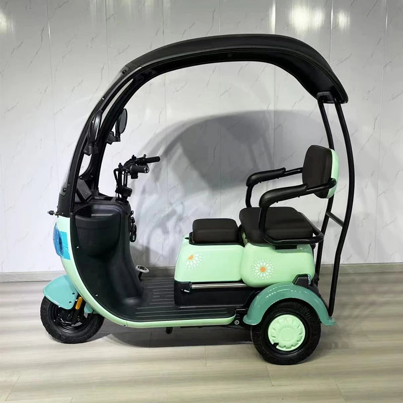 Electric Three Wheel Bike Trike 650W